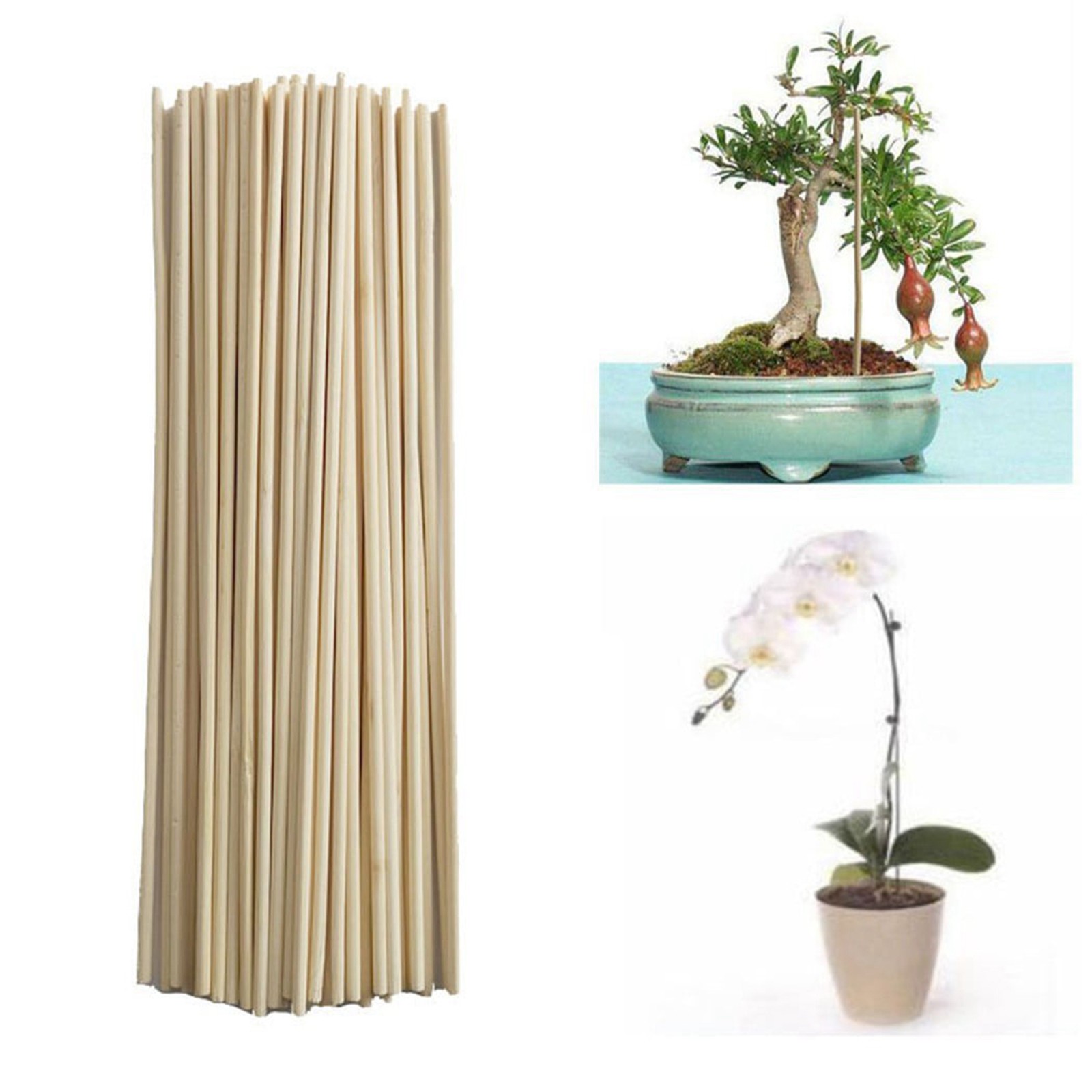 Gardening Tools Wooden - 50 pçs varas de bambu treliça