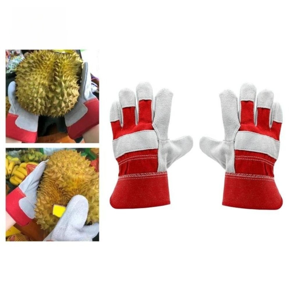 Gardening Tools Gloves - Luvas de Jardinagem em Couro de