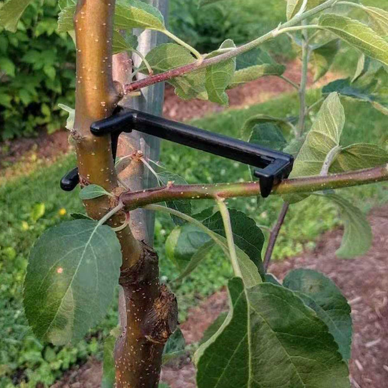 Root Watering Spike - Extrator de galhos de árvores frutíferas,