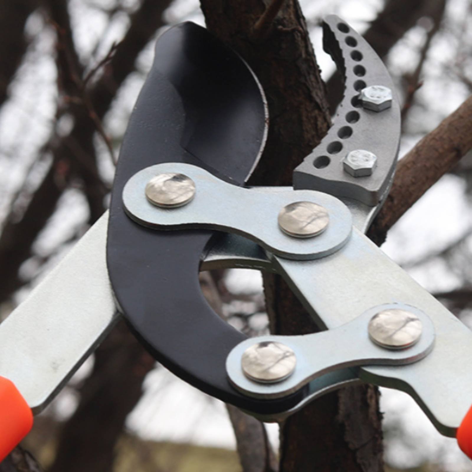 Gardening Tool - Podadores de Galhos Telescópicos com Lâmina