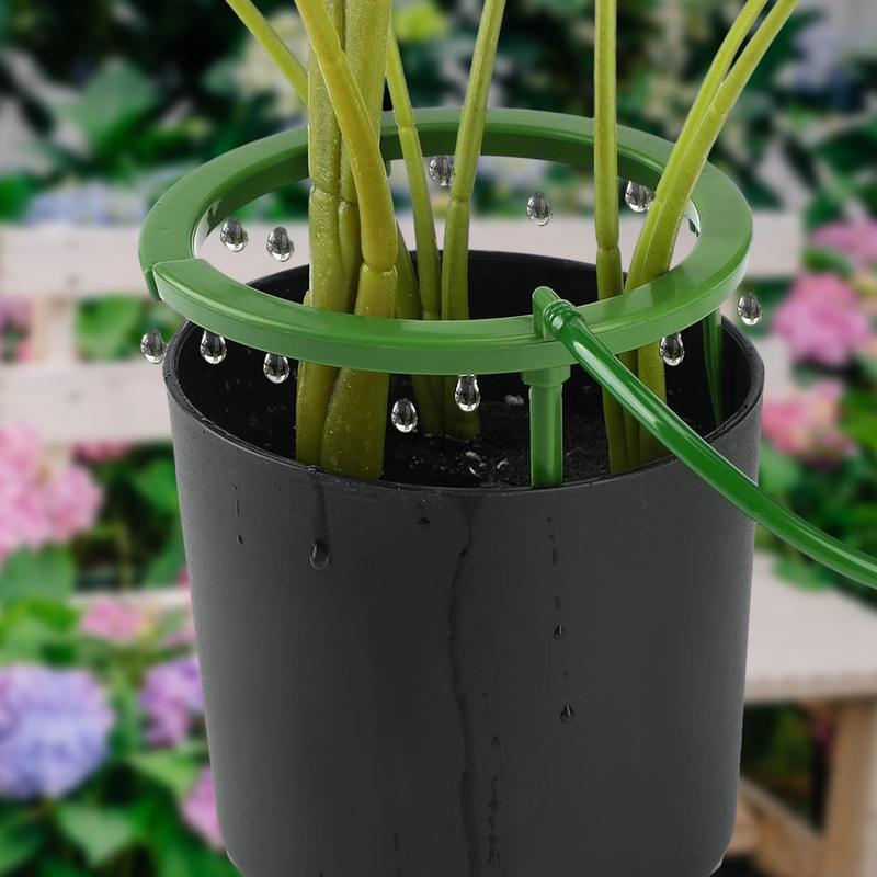 Novo Anel Gotejador para Siste - Root Watering Spike avaliação e preço