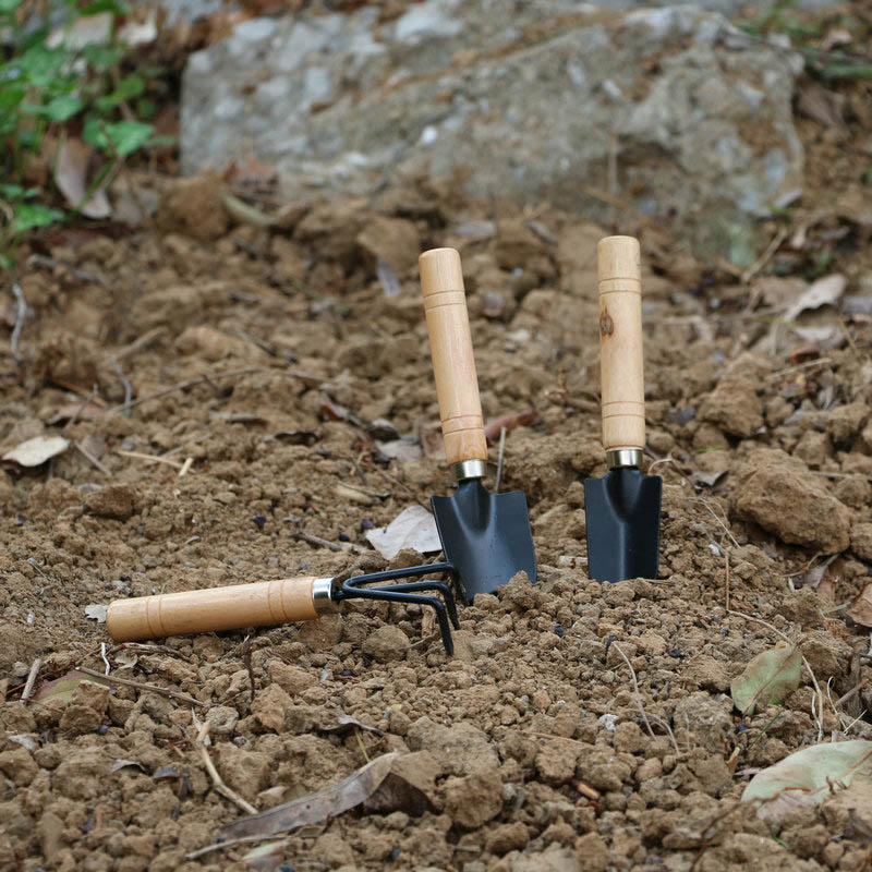 3 pçs/set mini conjunto de fer - Gardening Tools Vegetables avaliação e preço