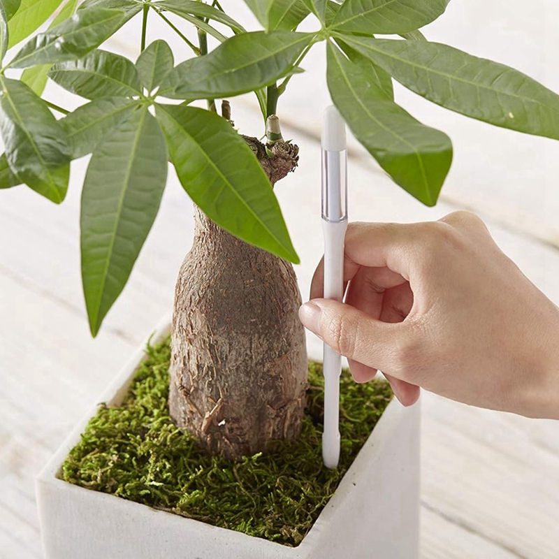 Aquameter, 5 peças, Sensor de  - Moisture Meter Plant avaliação e preço
