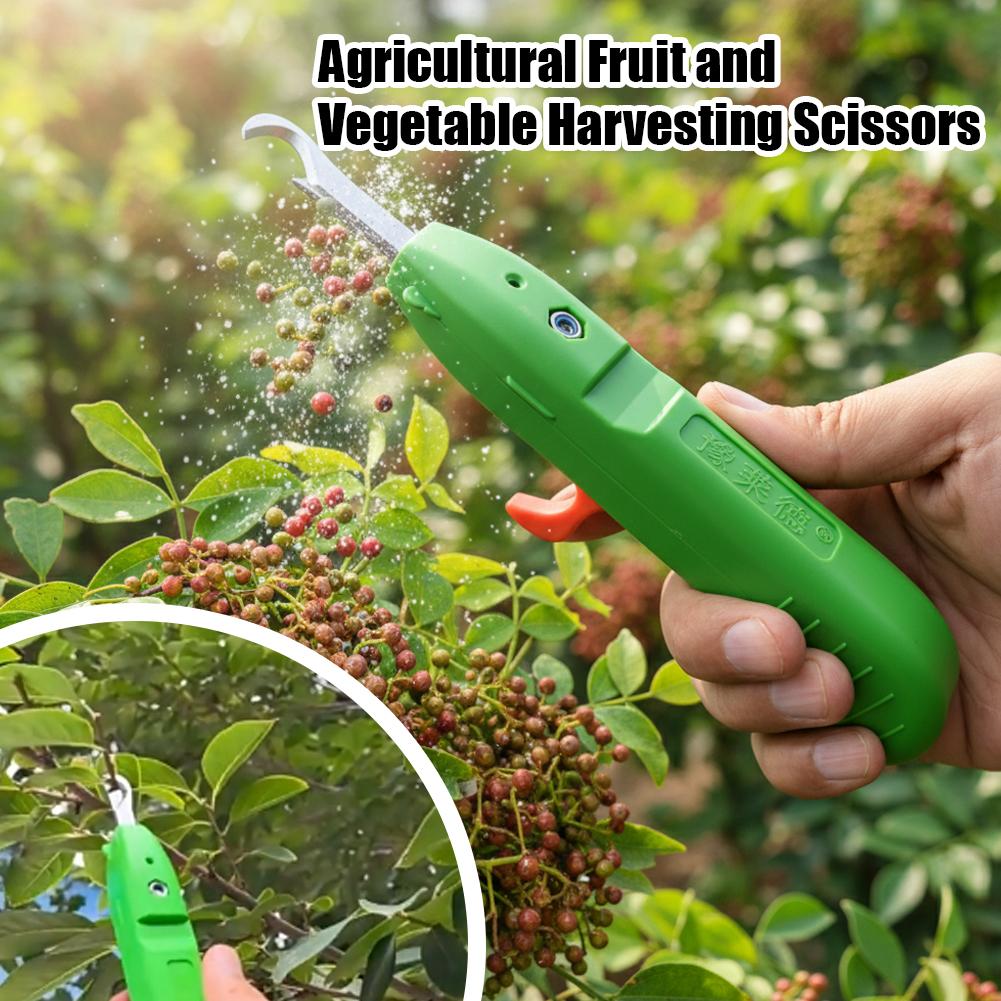Tesoura de Colheita de Frutas  - Gardening Tools Vegetables avaliação e preço