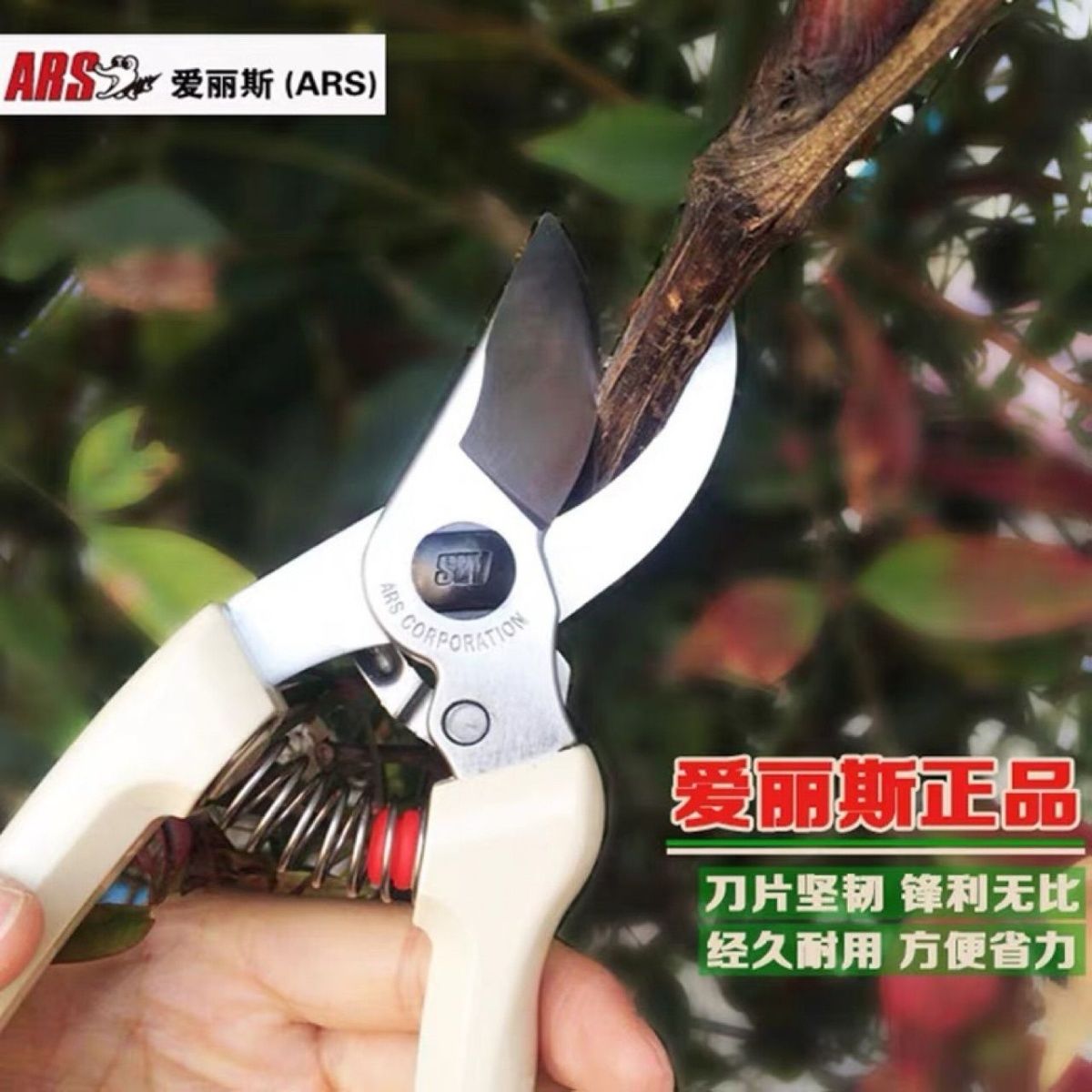 ARS Alice Poda Tesoura, Ferram - Gardening Tools Japan avaliação e preço