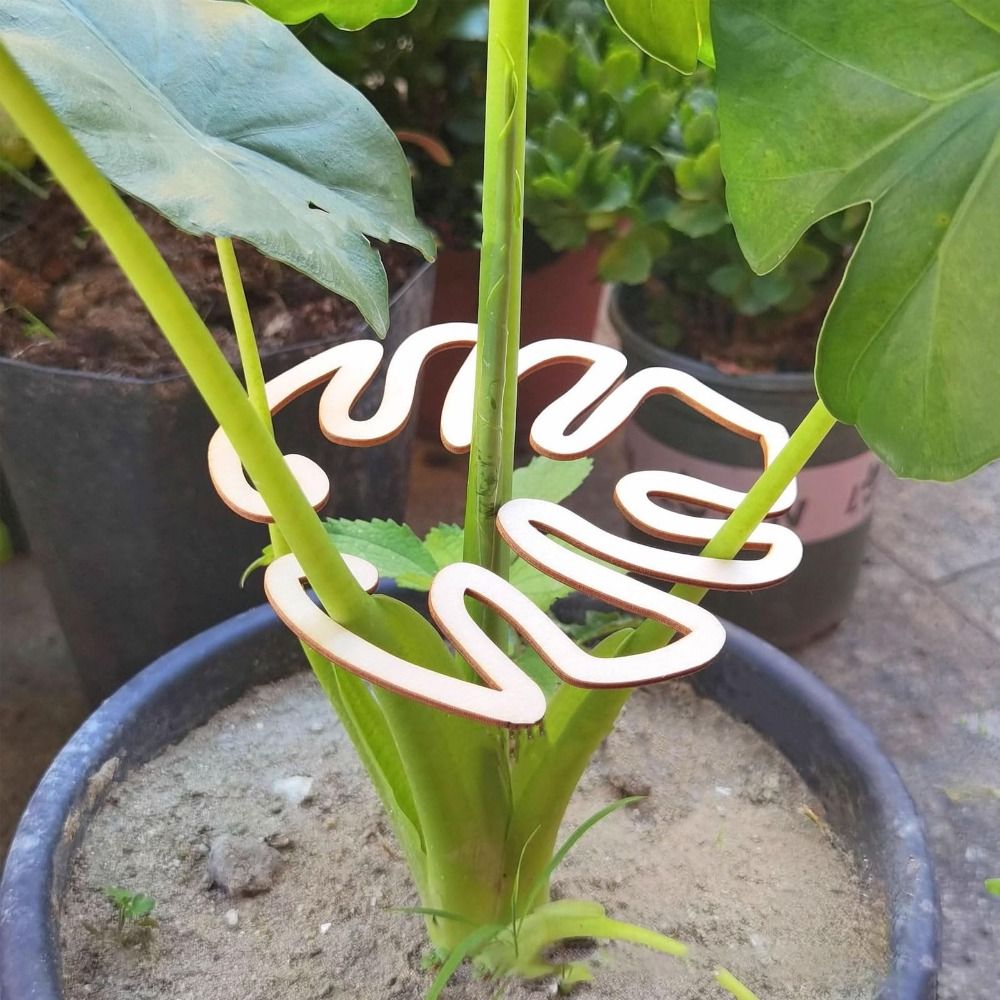 1/2 pçs reutilizável casca de  - Gardening Tools Wooden avaliação e preço