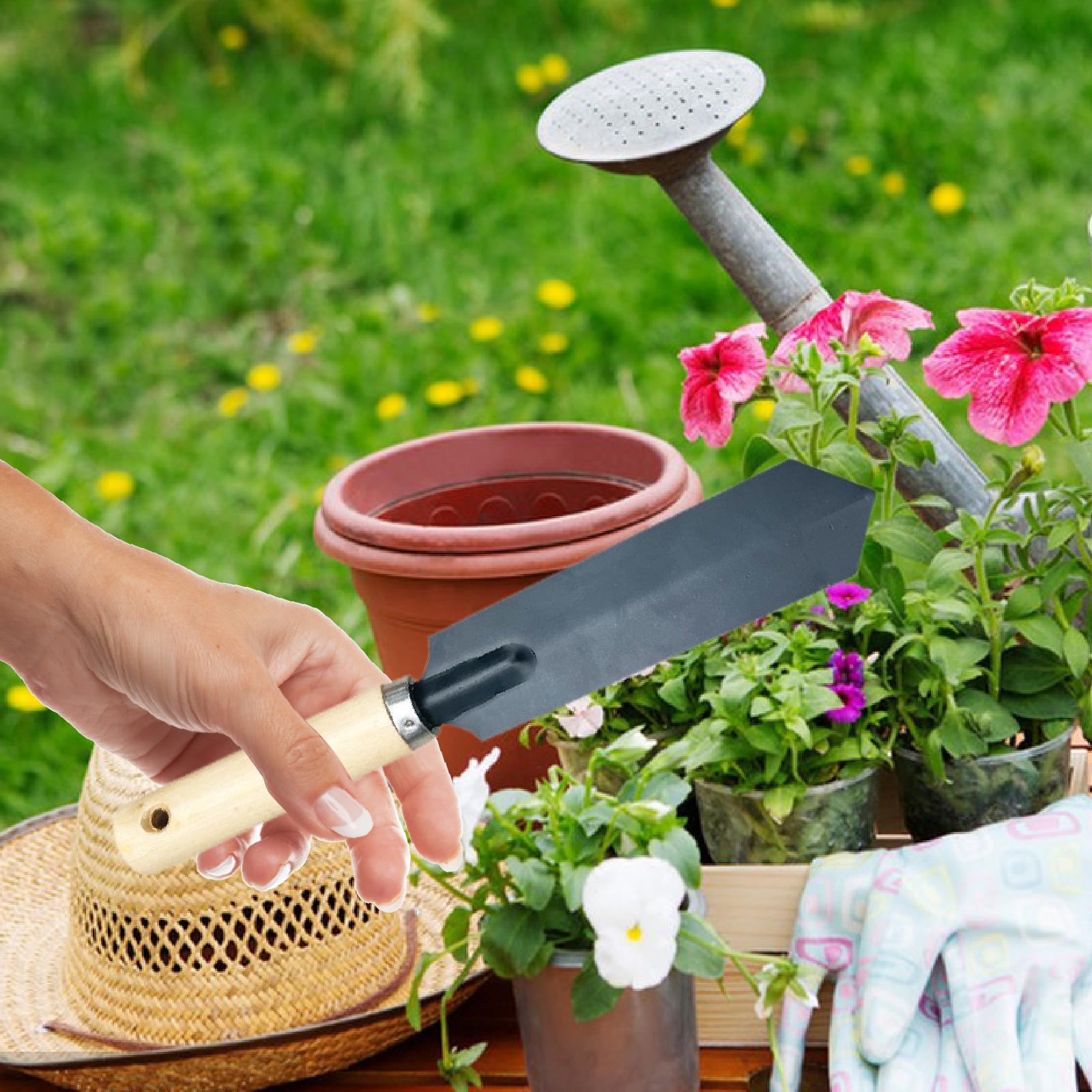 Pequena ferramenta de escavaçã - Gardening Tools Wooden avaliação e preço