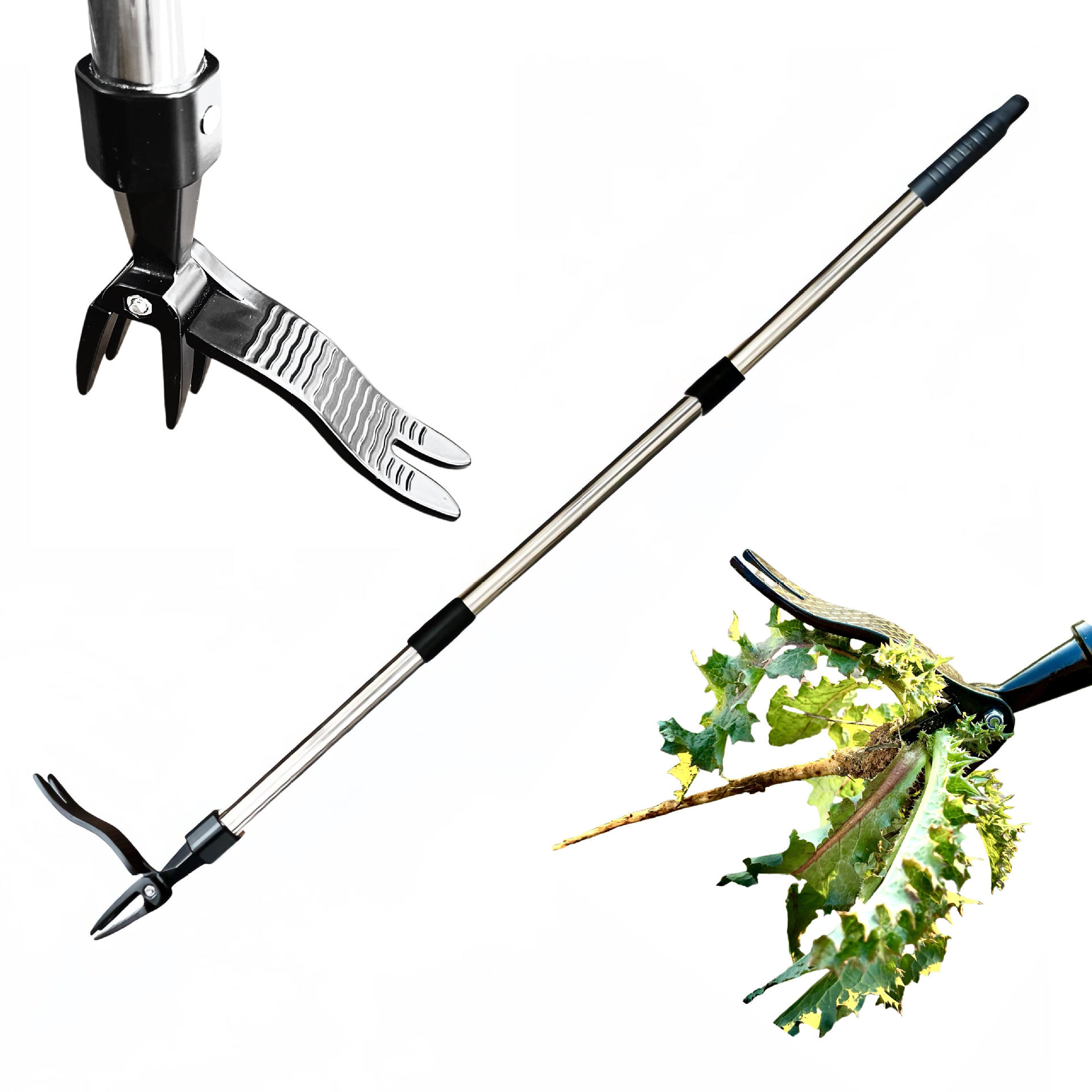 Salvar trabalho extrator de er - Gardening Tools You Need avaliação e preço