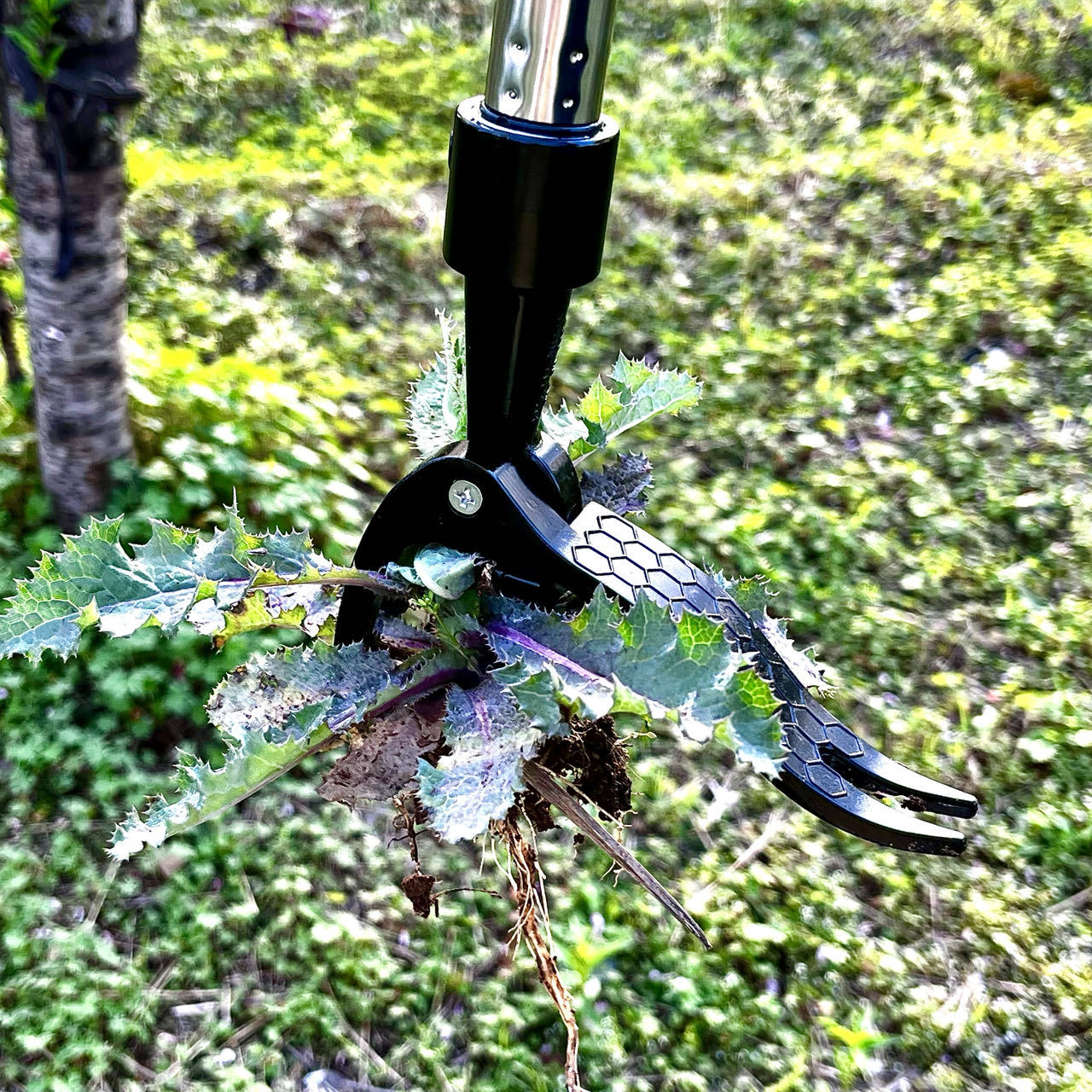 Salvar trabalho extrator de er - Gardening Tools You Need avaliação e preço