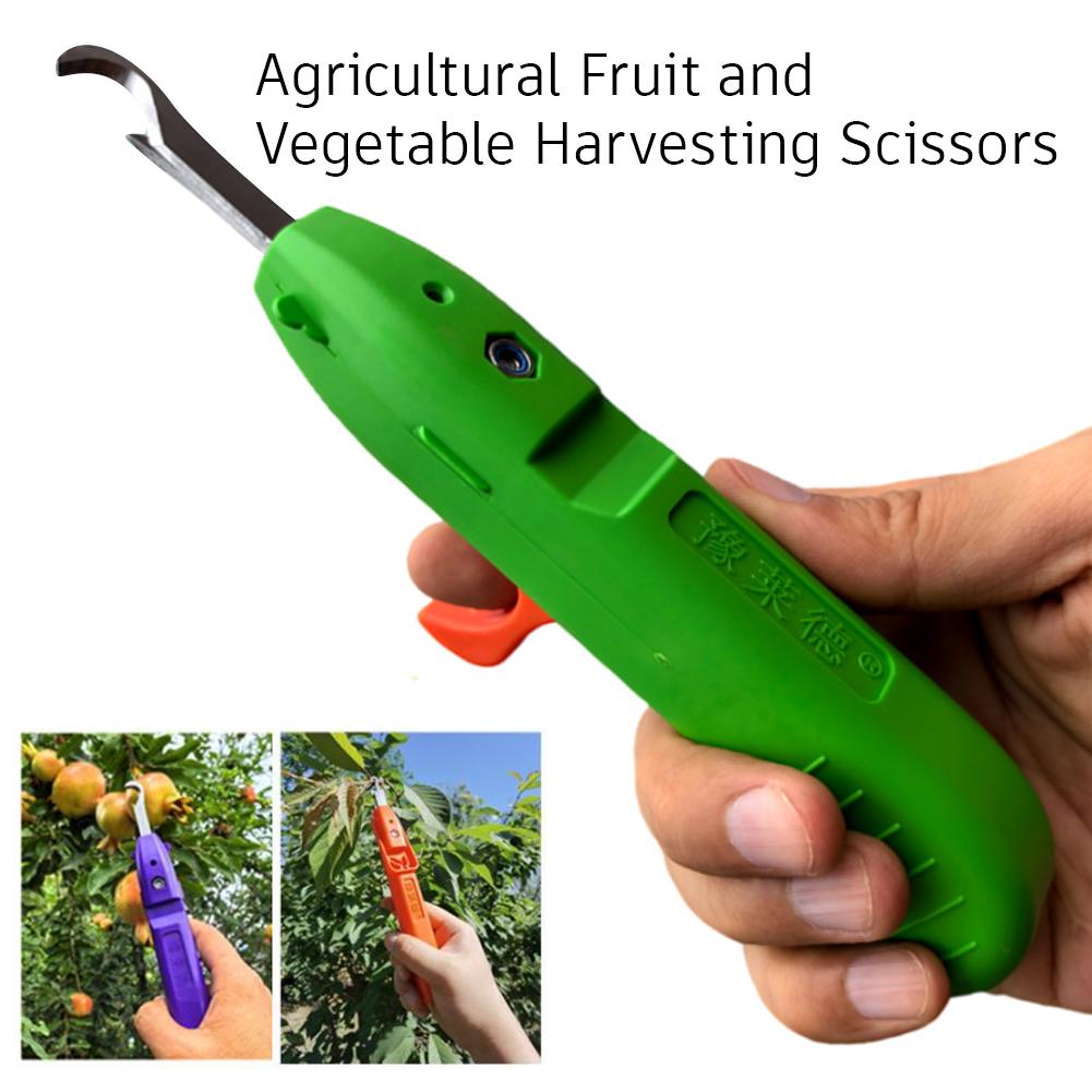Ferramenta Multifuncional Port - Gardening Tools Vegetables avaliação e preço