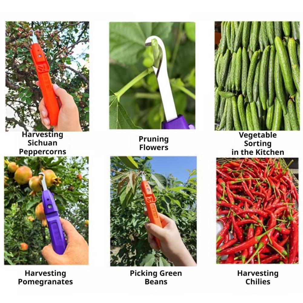 Ferramenta Multifuncional Port - Gardening Tools Vegetables avaliação e preço