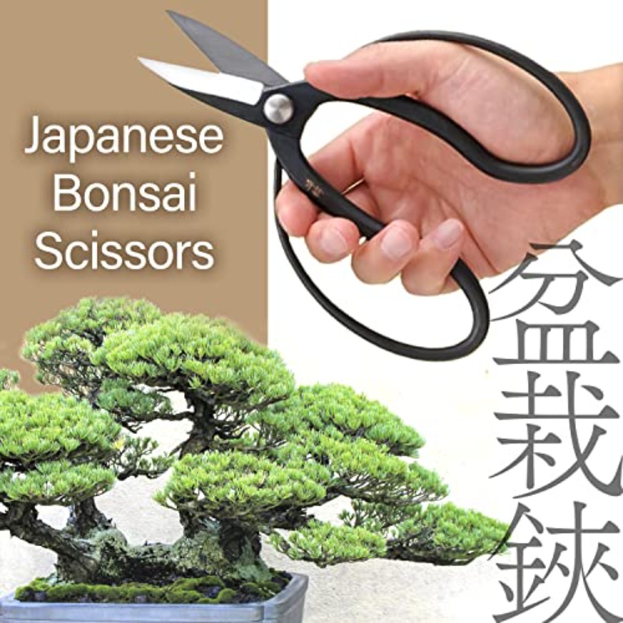Tesoura Japonesa Suiryu para B - Gardening Tools Japan avaliação e preço