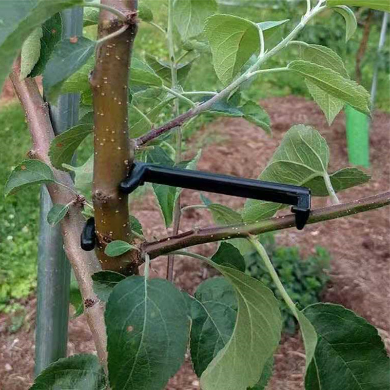 Extrator de galhos de árvores  - Root Watering Spike avaliação e preço