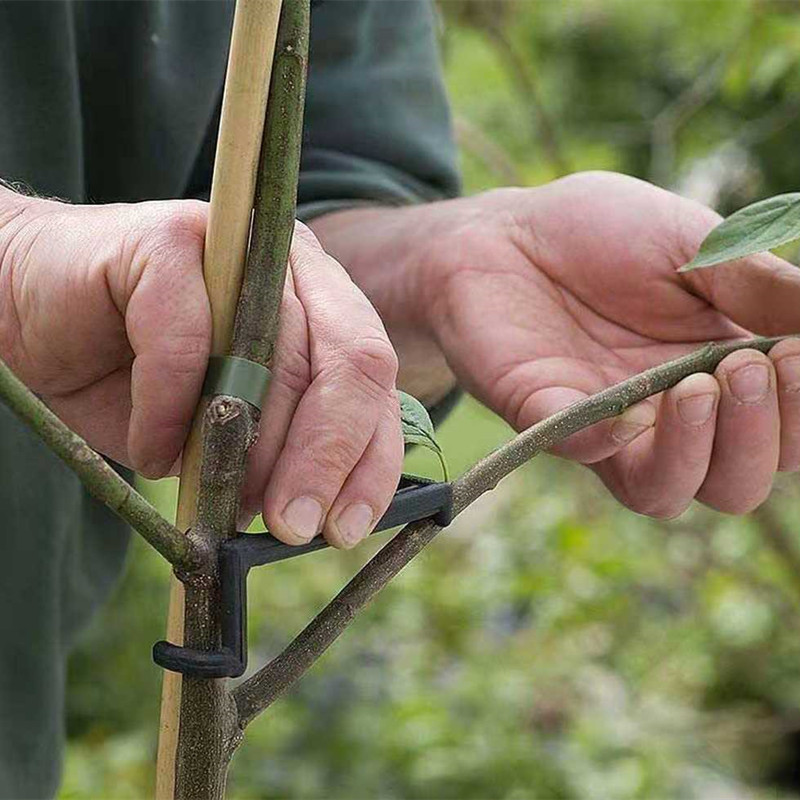 Extrator de galhos de árvores  - Root Watering Spike avaliação e preço