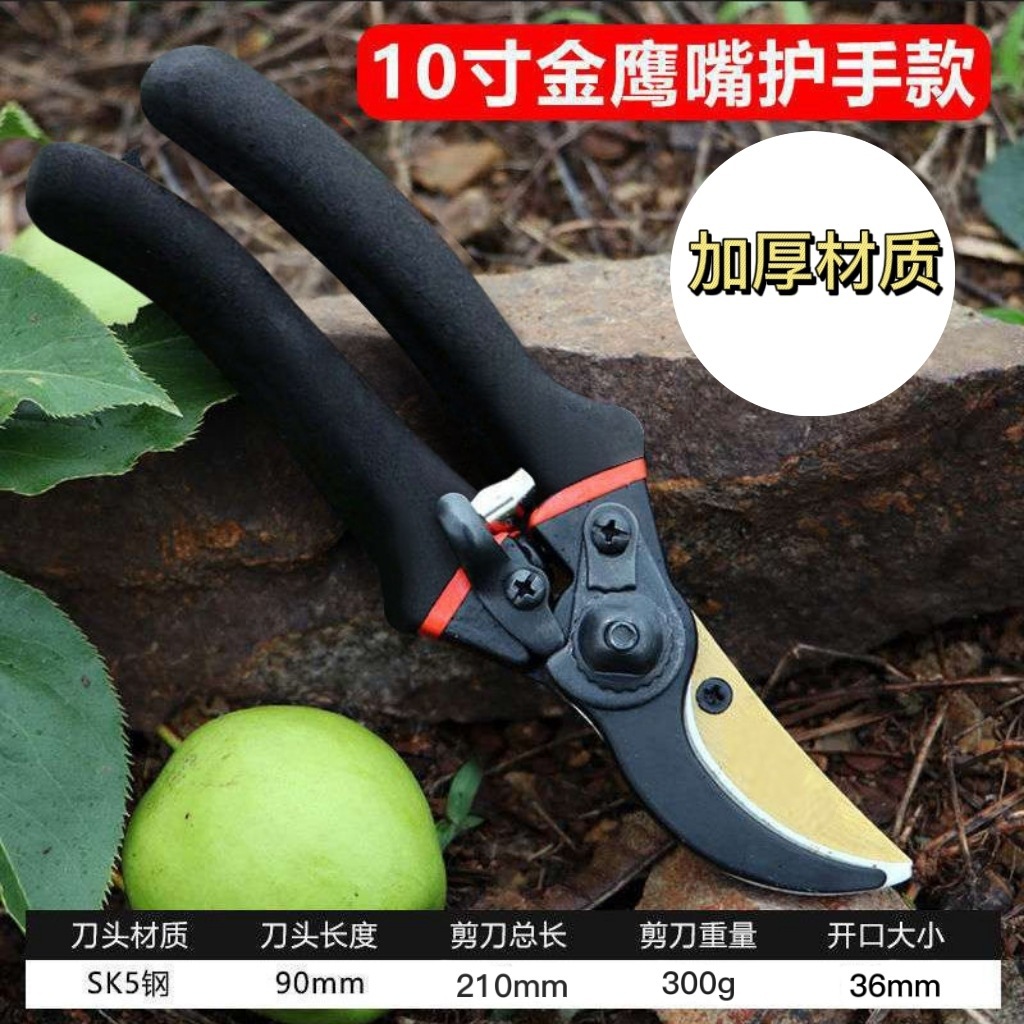 Tesoura de Poda Japonesa em Aç - Gardening Tools Japan avaliação e preço
