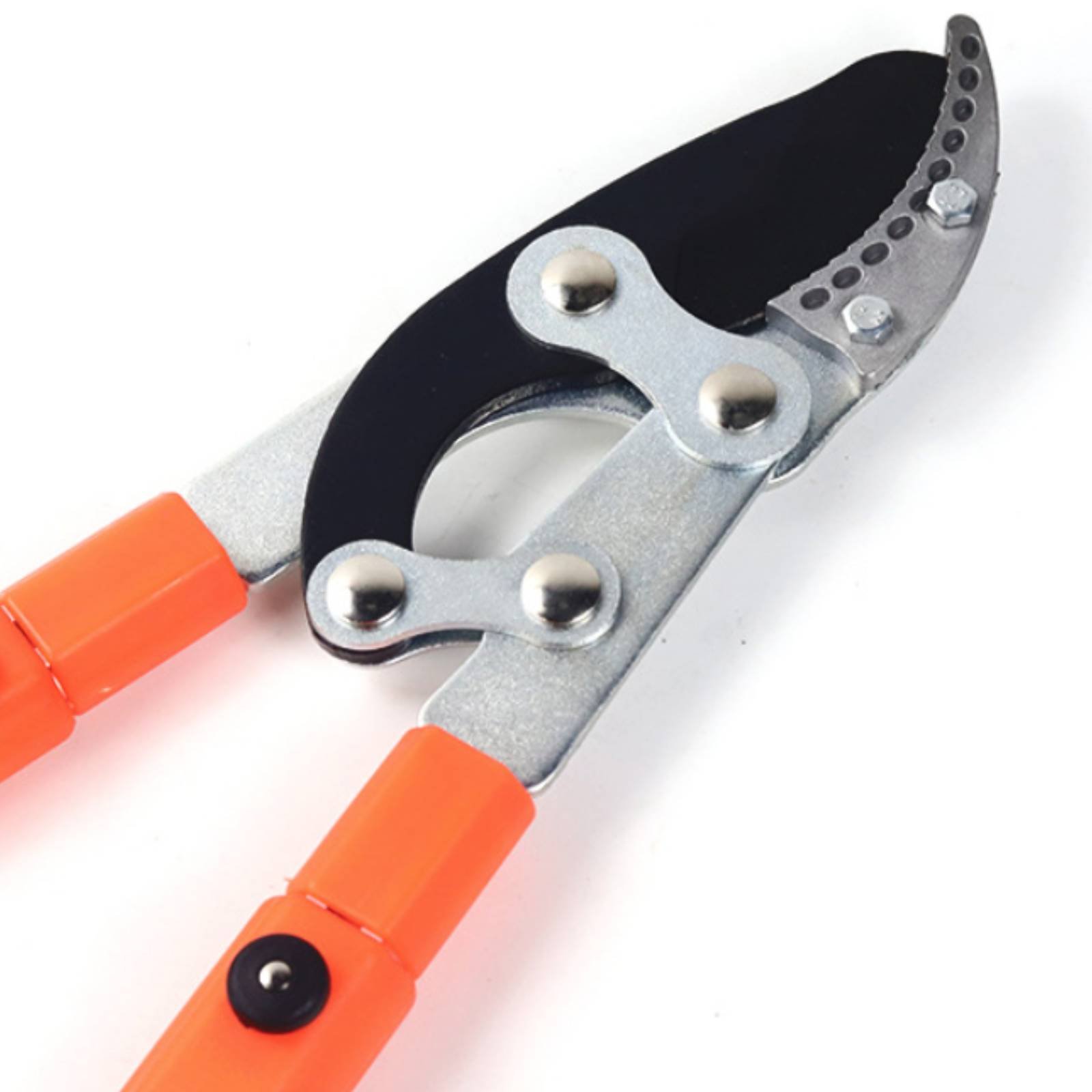 Podadores de Galhos Telescópic - Gardening Tool avaliação e preço