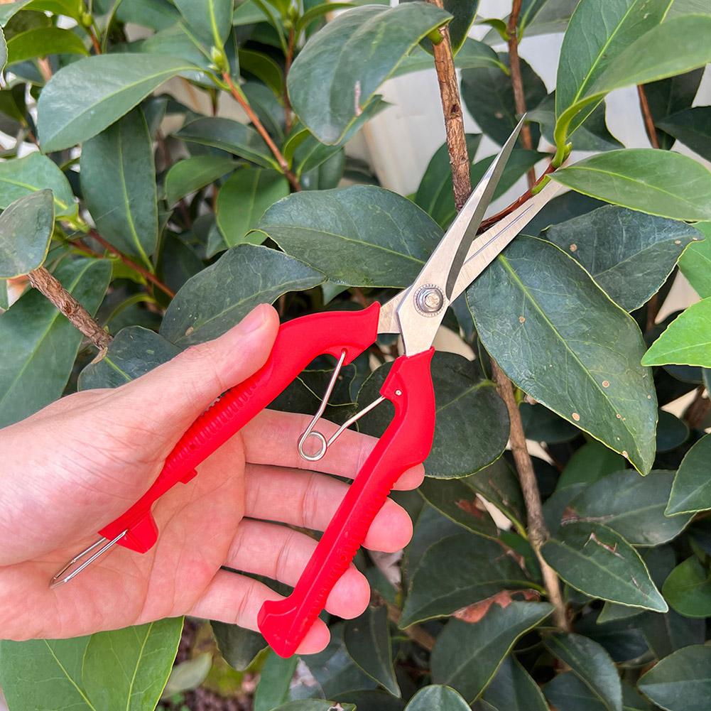 Tesoura de Poda Profissional p - Gardening Tools Vegetables avaliação e preço