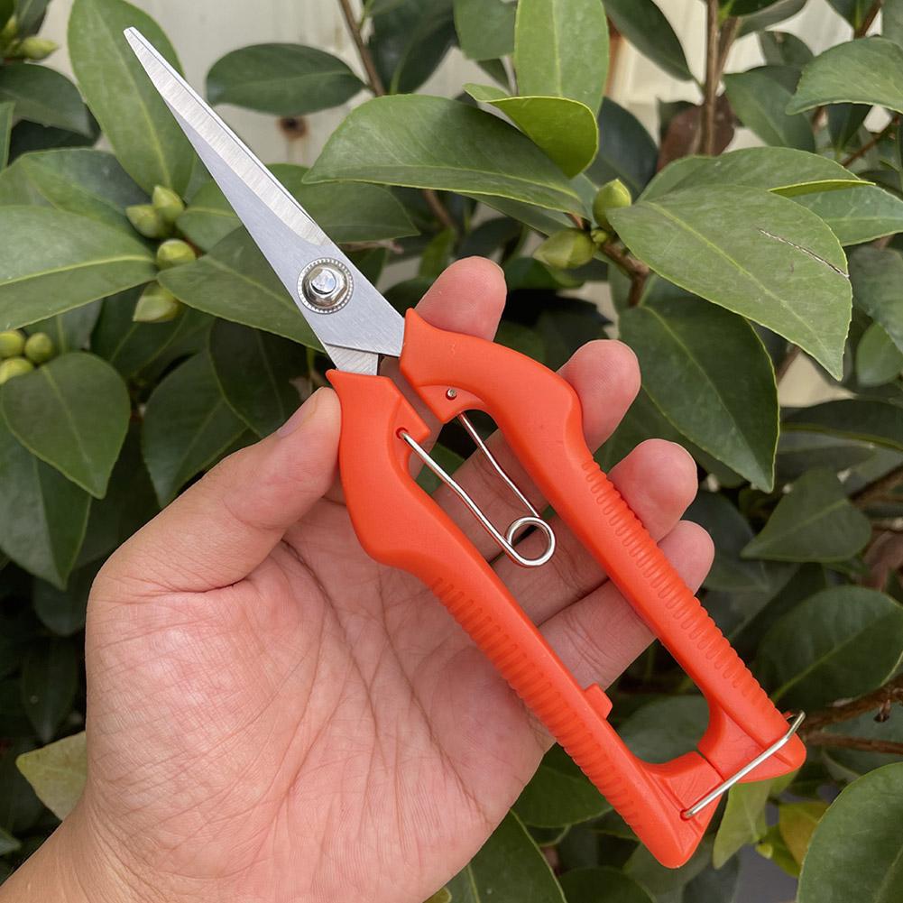 Tesoura de Poda Profissional p - Gardening Tools Vegetables avaliação e preço