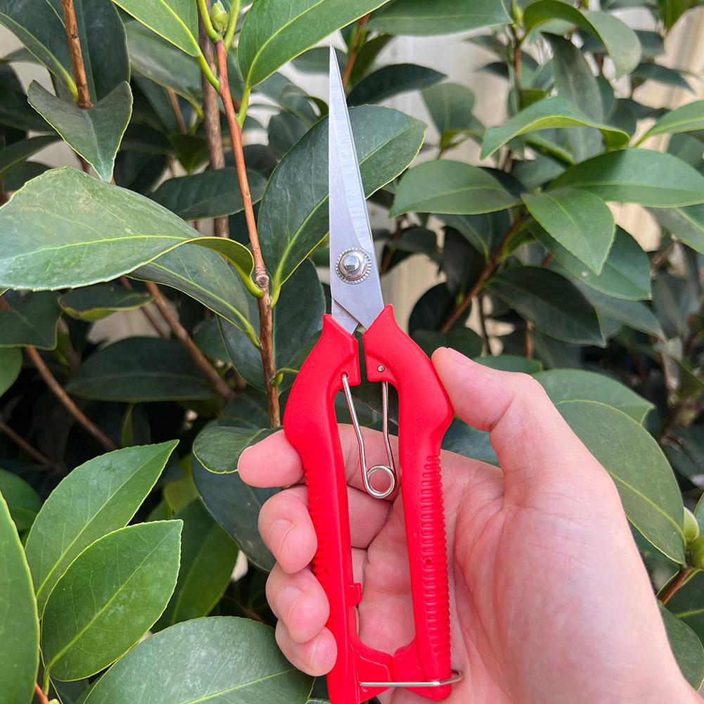 Tesoura de Poda Profissional p - Gardening Tools Vegetables avaliação e preço