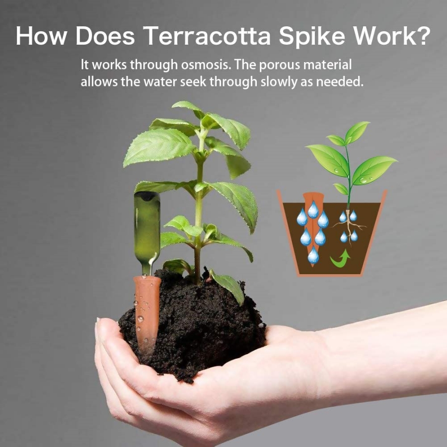 8 pontas de terracota de rega  - Root Watering Spike avaliação e preço