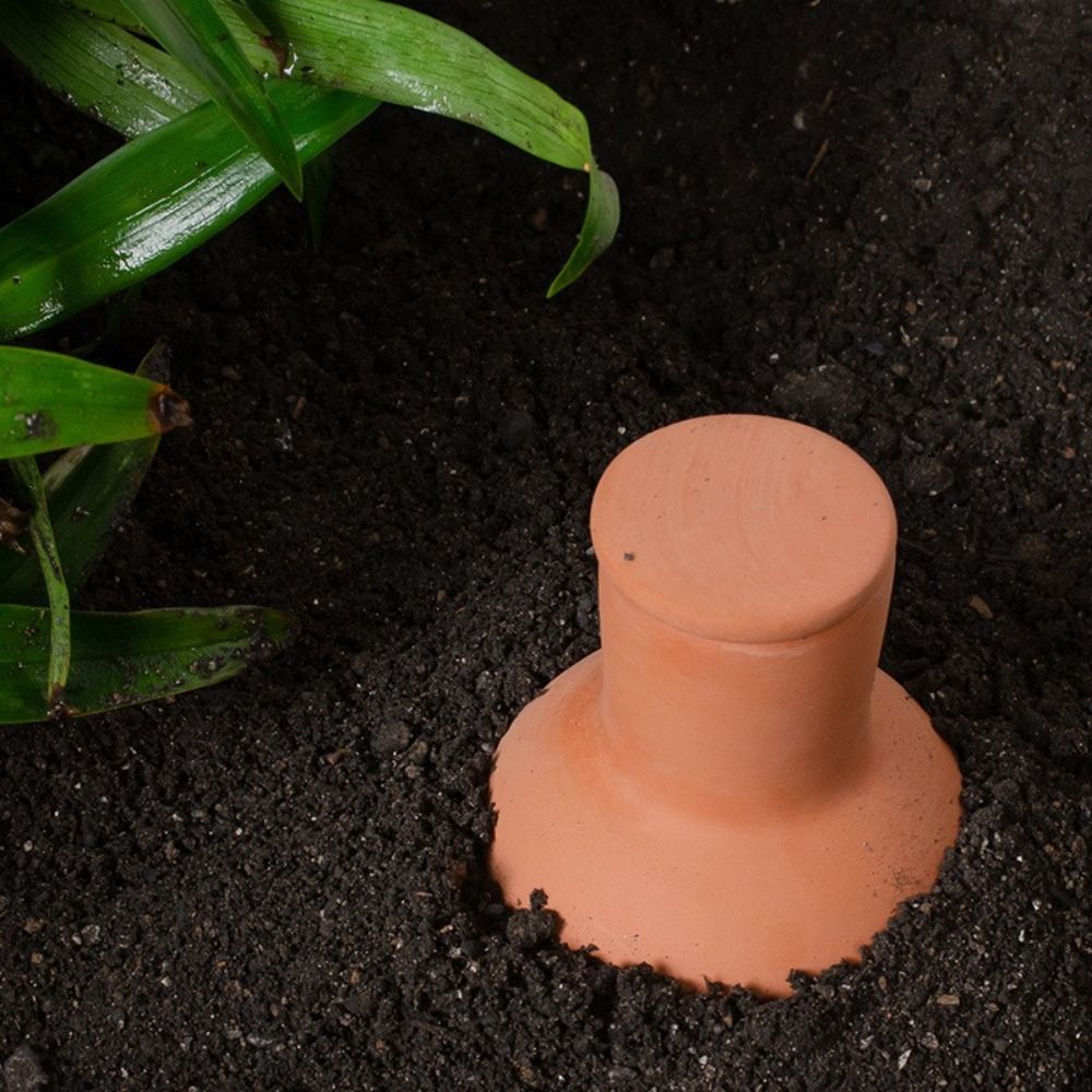 4 Peças de Espigões de Autoirr - Root Watering Spike avaliação e preço